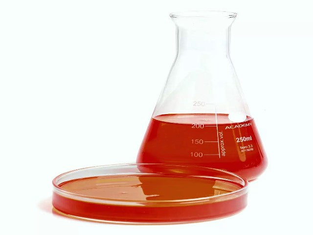 Liquid Bloodworm