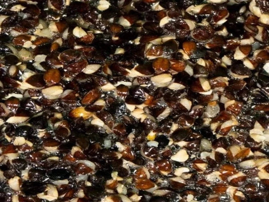 Buckwheat