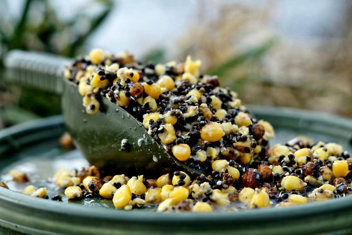 Hemp and Maize Mix